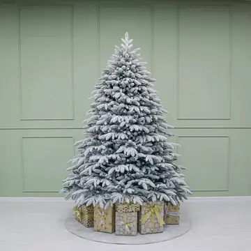 Царская заснеженная