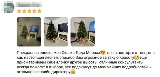 Отзыв покупательницы ВКонтакте: ель как настоящая лесная